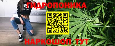 амф Коммунар