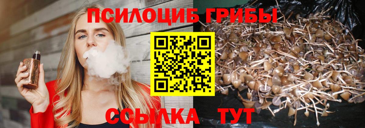 Галлюциногенные грибы мухоморы Краснознаменск