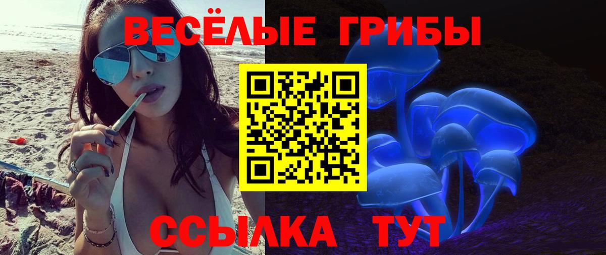 Краснознаменск  наркотики  Вход с VPN  Псилоцибиновые грибы GOLDEN TEACHER 